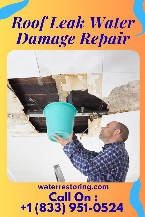 Roof Leak Water Damage Repair in Olds, IA