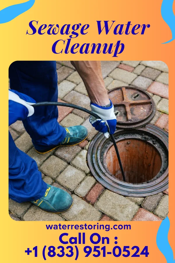 Sewage Water Cleanup in Olds, IA